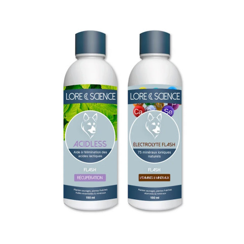 Pack Recup Effort - Recovery aid for sporting dogs - Lore & Science